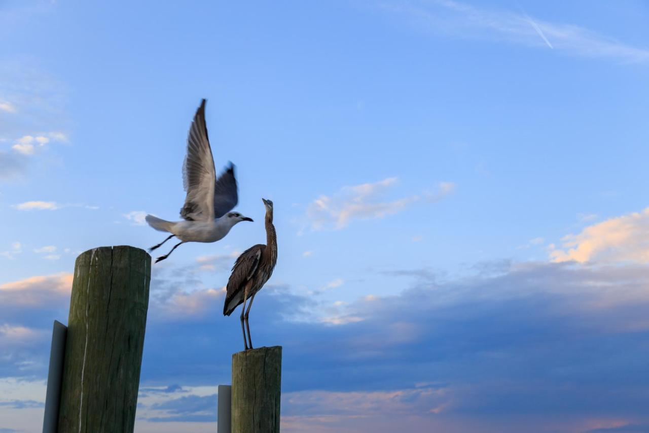 Captains Walk Condos Hilton Head Island Eksteriør bilde